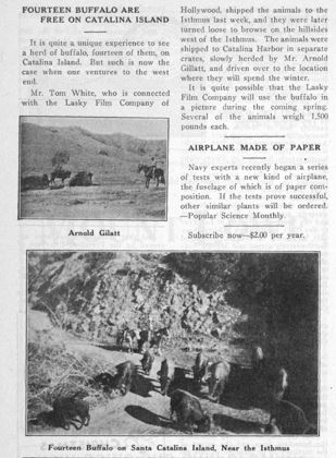 Catalina Islander Newspaper outlines the introduction of bison to Catalina Island.