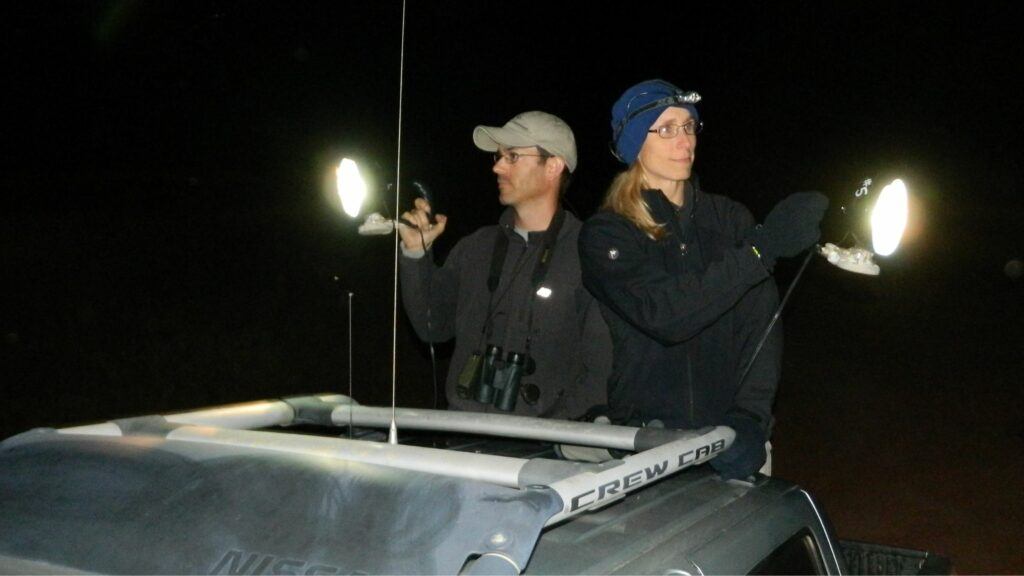 Wildlife Biologists Calvin Duncan (me) and Julie King conducting a mule deer spotlight survey on Catalina Island