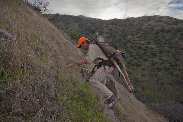 Conservancy Trails Manager and Hunting Guide Kevin Ryan packing a deer out of a canyon on Catalina Island.