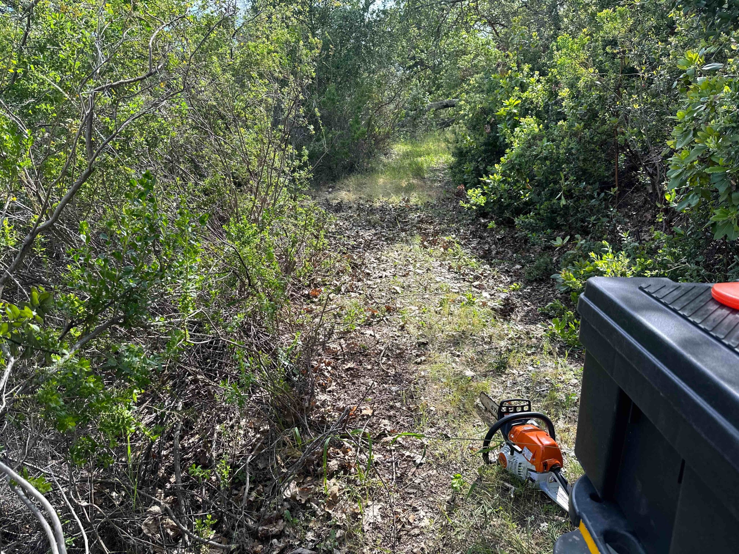 A chainsaw on the ground along a cleared trail.
