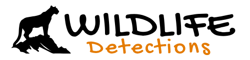 Wildlife Detections