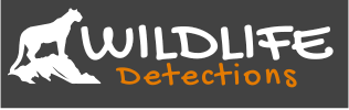 Wildlife Detections